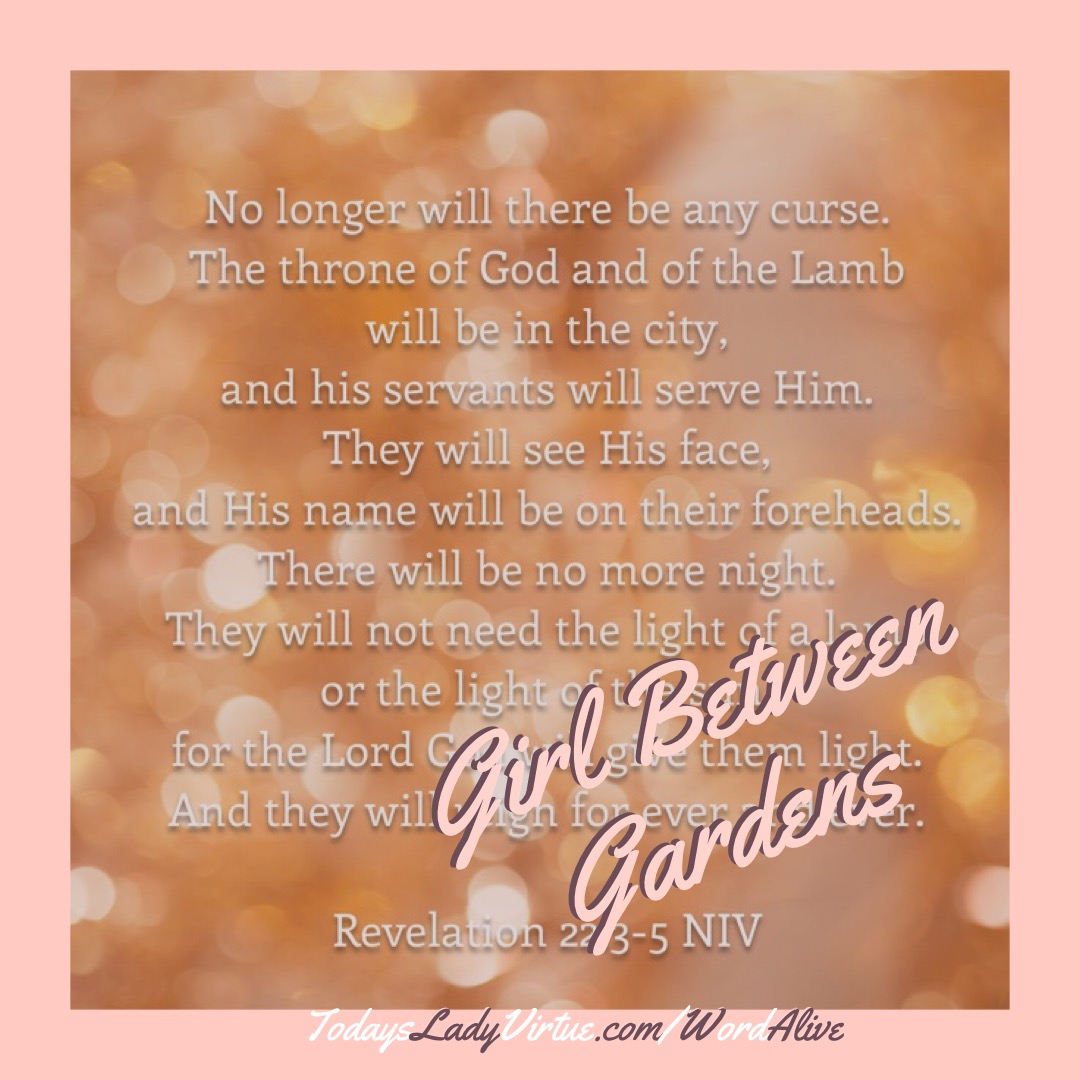 Featured image for “Life-giving Perspective for a Girl Between Gardens”