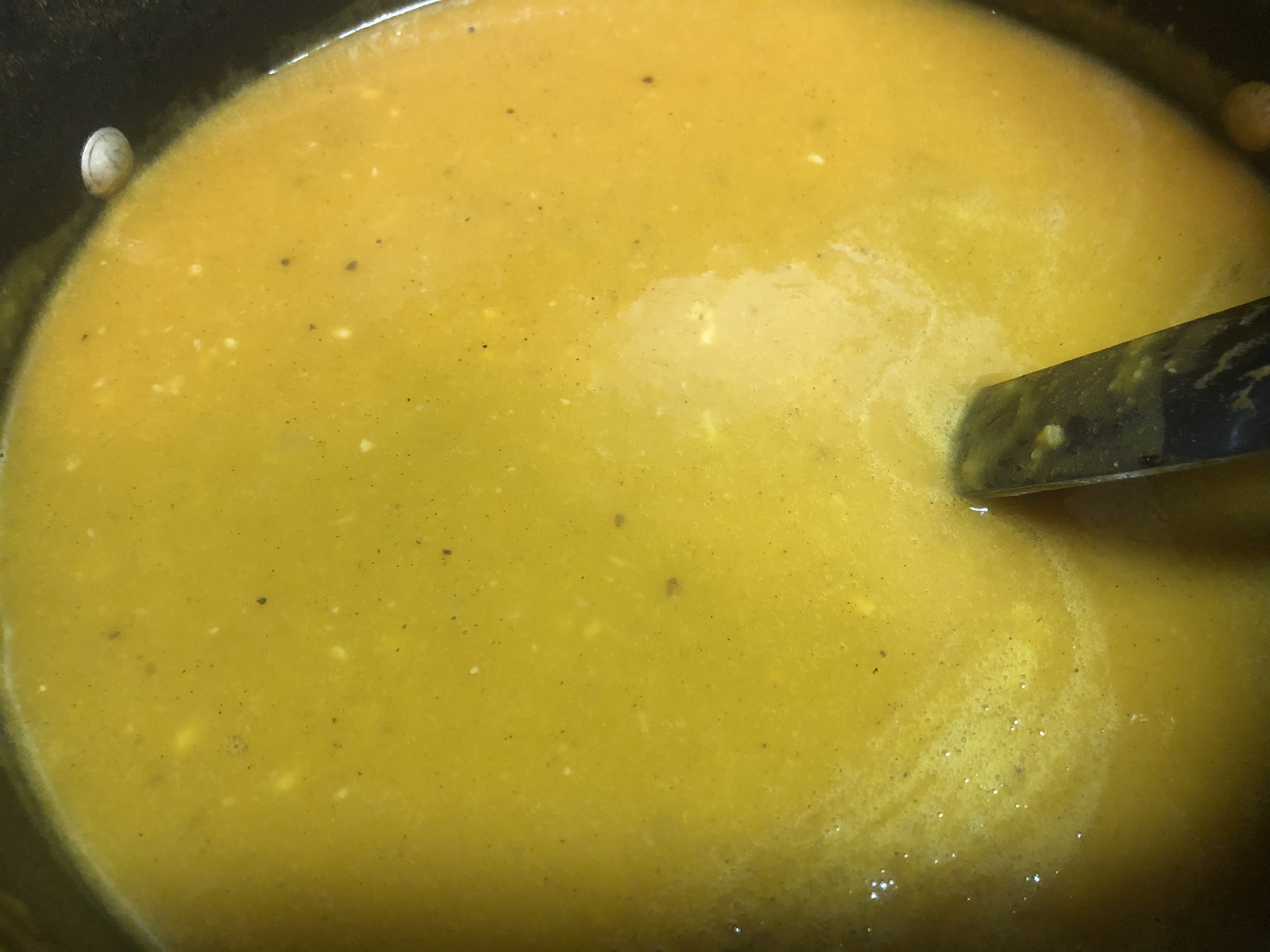 Butternut Squash & Sage Soup | Today's Lady Virtue